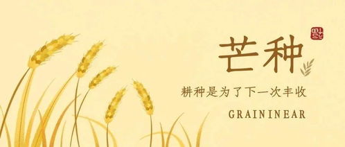 梔子花開(kāi)，麥黃梅熟 仲夏時(shí)節(jié)話谷類(lèi)作物
