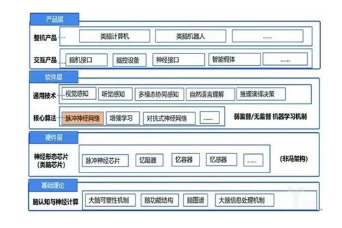 類腦智能 人工智能基礎(chǔ)軟件開(kāi)發(fā)的另一條路徑